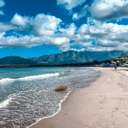 Valentin 2 Avec Piscine Chauffé à Villa Calvi (Corsica)